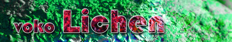 voko lichen logo
